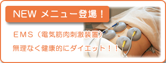 ����˥塼|EMSƳ�����ޤ���