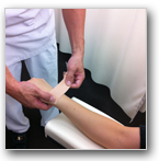 ���ݡ��ľ㳲������