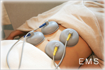 ���ݡ��ľ㳲������